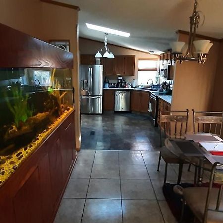 Private Pet Friendly Home Near Exotic Deer Farm Close to Pigeon Forge, Gatlinburg TN Sevierville Exterior foto