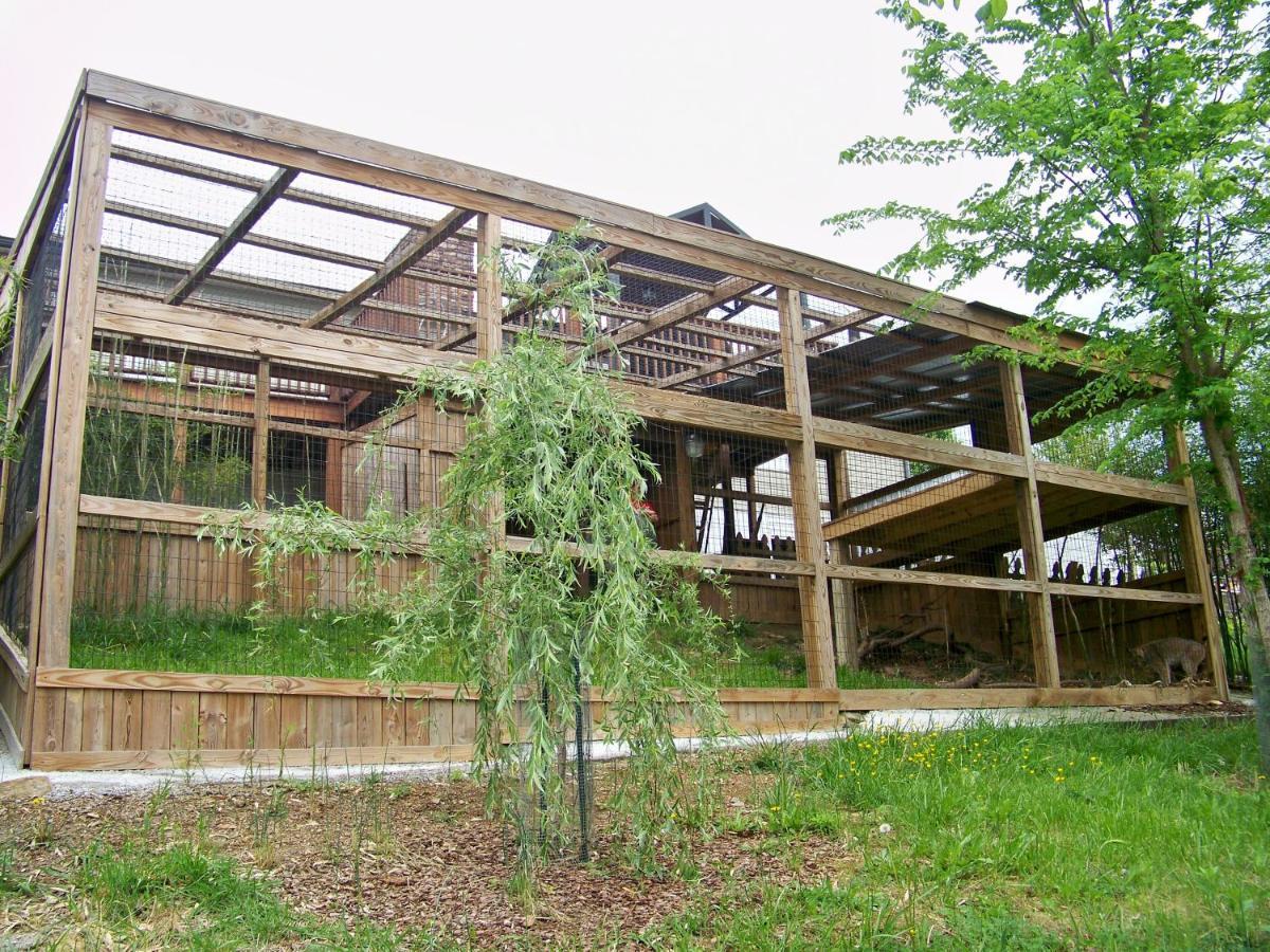 Private Pet Friendly Home Near Exotic Deer Farm Close to Pigeon Forge, Gatlinburg TN Sevierville Exterior foto