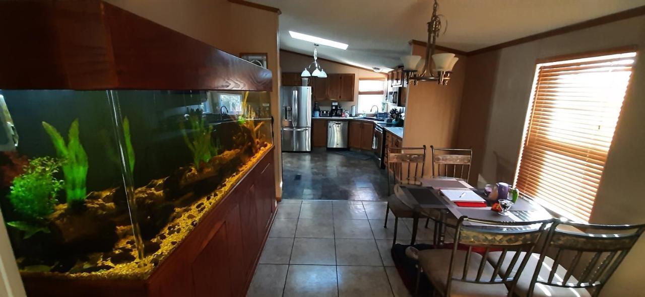 Private Pet Friendly Home Near Exotic Deer Farm Close to Pigeon Forge, Gatlinburg TN Sevierville Exterior foto